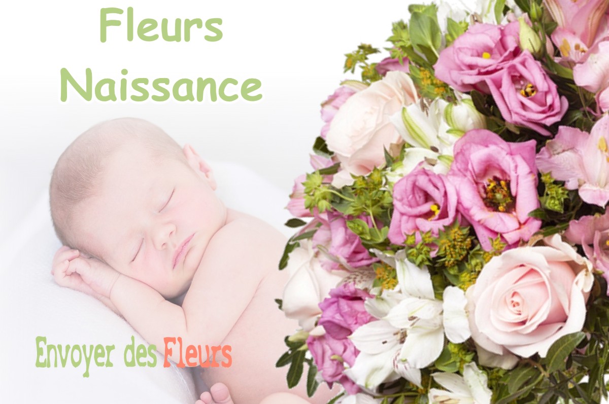 lIVRAISON FLEURS NAISSANCE à ARTENAY